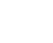 Evolution games at Winkb Ingo Casino